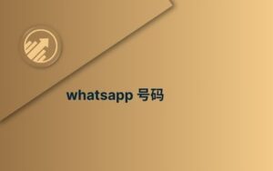 whatsapp 号码