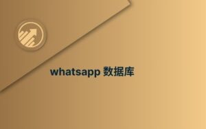 whatsapp 数据库