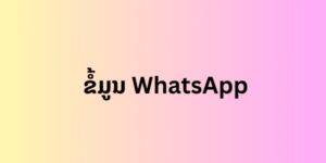 ຂໍ້ມູນ WhatsApp